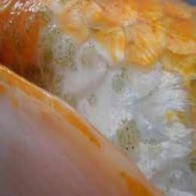 Parasitic Diseases Koi 011
