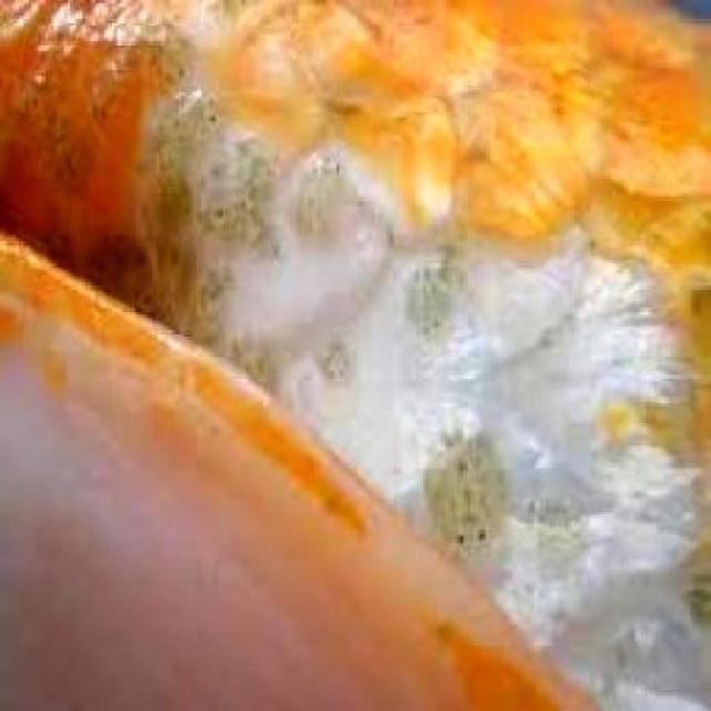 Parasitic Diseases Koi 019