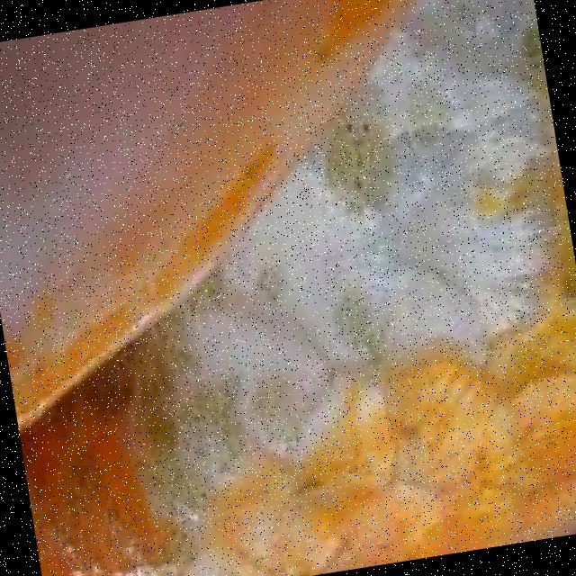 Parasitic Diseases Koi 028