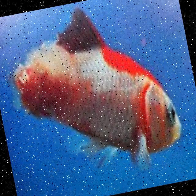 White Tail Diseases Koi 004